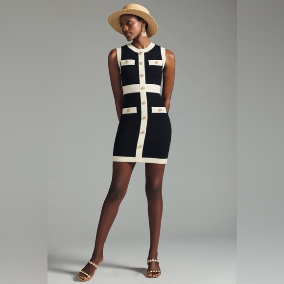 Endless Rose Black and Cream Mini Dress - Picture 1 of 11